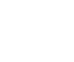 Sports Fan White