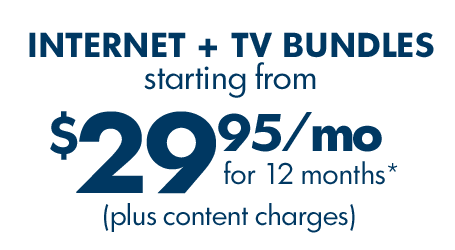 Bundles from $29.95/mo.*